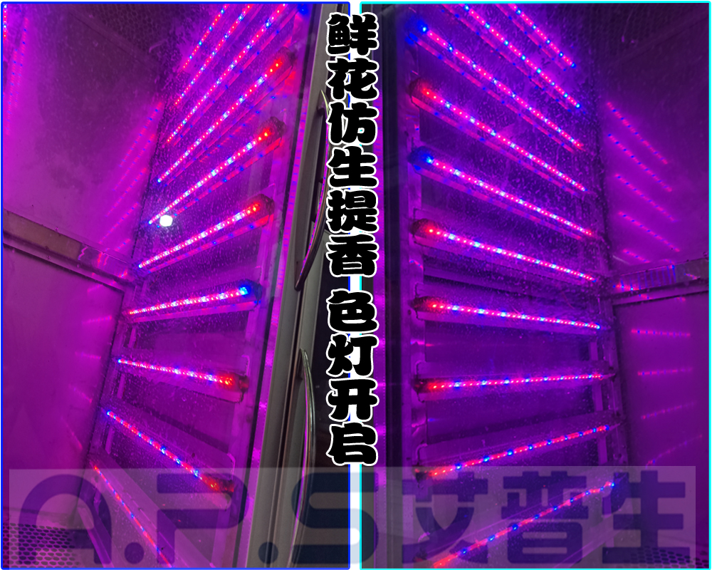 12、植物鮮花低溫萃取精華液專用設備=鮮花提香色燈開啟.jpg