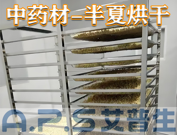 中藥材半夏烘干，除了傳統(tǒng)的烘干方法，首選推薦使用艾普生空氣能熱泵烘干機(jī)