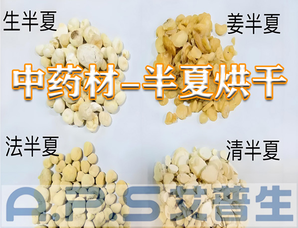 艾普生環(huán)境科技：半夏的烘干方法有哪些？哪一種烘干效果更好？